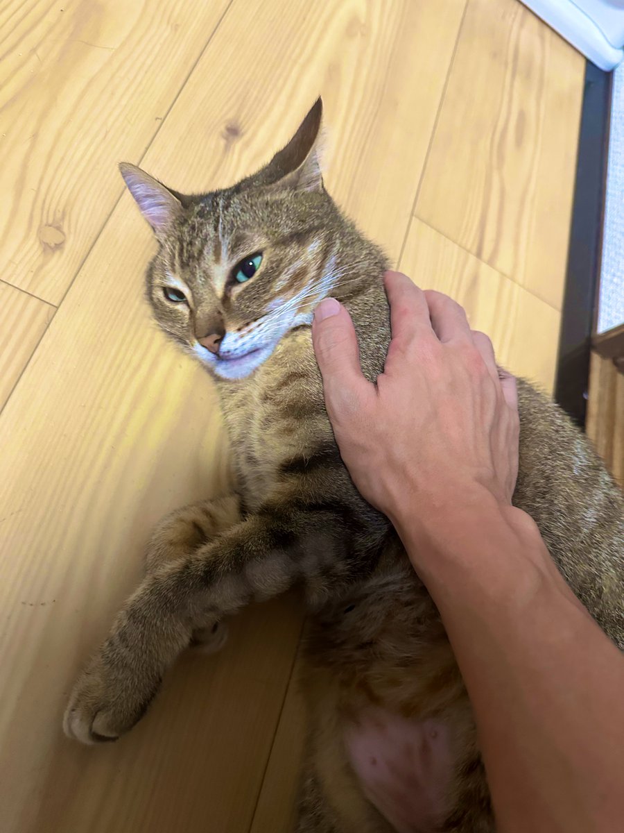 よし！家の事一旦落ち着いた！
今日から配信💪
エペ&amp;ヴァロやる予定！