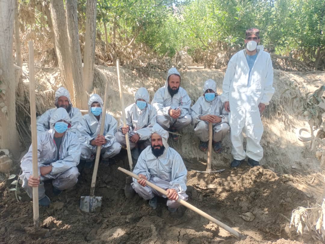 FAOAfghanistan's tweet image. On 28 June flash floods swept through Daimirdad, Nirkh & Chak in Wardak, hitting about 2000 households.
@FAO & partners moved fast to safely dispose of near 100 animal carcasses within the first 3 days, preventing disease spread amid a heat wave. More on FAO's support to follow!