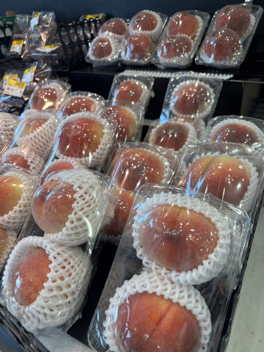 Liberty_2501's tweet photo. こんにちは♪リバティ長岡です♪
本日は果物、またお野菜がお買い得なスーパー青果の日です！
今が食べ頃なとうもろこしや桃など旬な味覚がお買い得でございます♪その他にもりんごや小松菜などおすすめ商品多数ご用意！是非リバティ長岡店をご利用下さいませ♪
#リバティ長岡青果の日
#長岡京市 https://t.co/fMBmjl4lKN