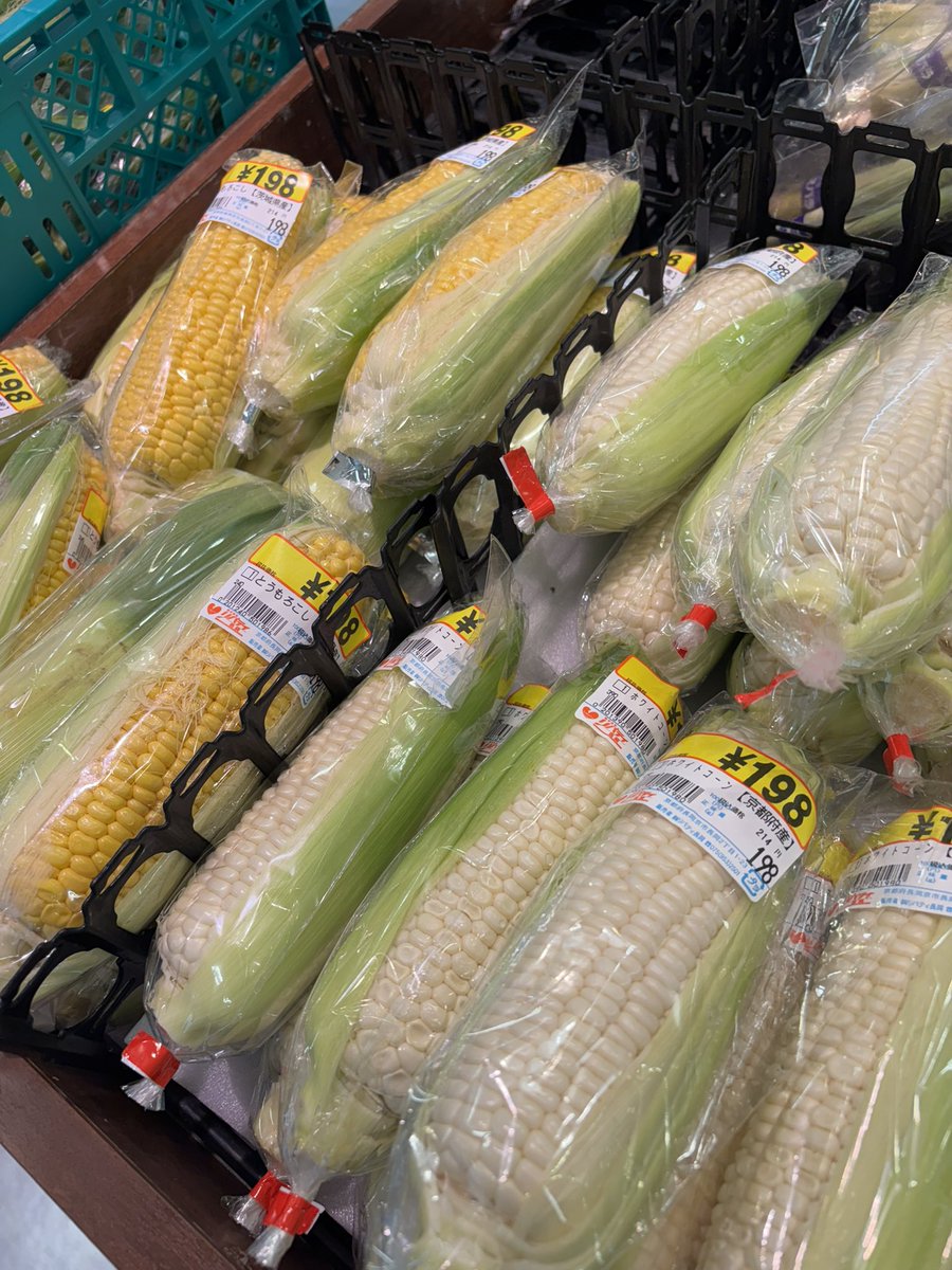 Liberty_2501's tweet photo. こんにちは♪リバティ長岡です♪
本日は果物、またお野菜がお買い得なスーパー青果の日です！
今が食べ頃なとうもろこしや桃など旬な味覚がお買い得でございます♪その他にもりんごや小松菜などおすすめ商品多数ご用意！是非リバティ長岡店をご利用下さいませ♪
#リバティ長岡青果の日
#長岡京市 https://t.co/fMBmjl4lKN