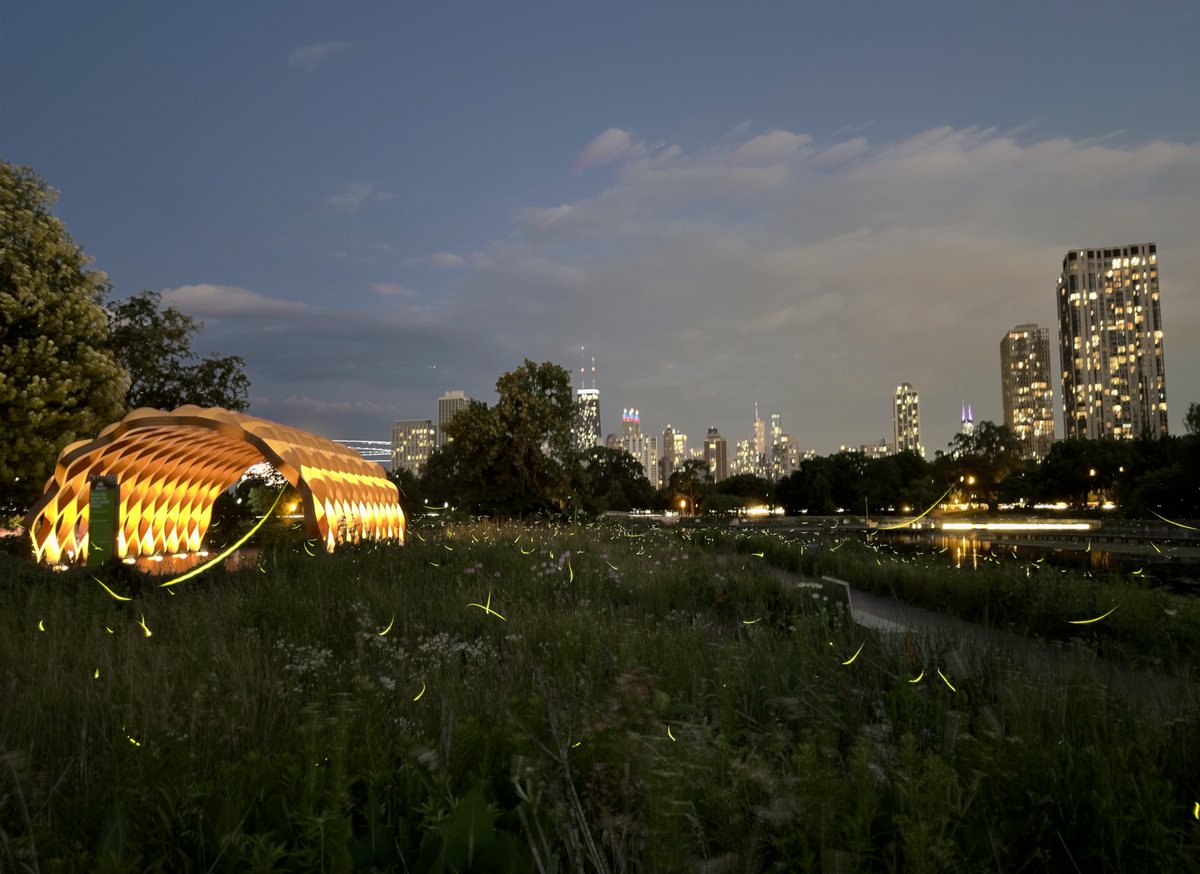 grocklin's tweet image. Chicago!