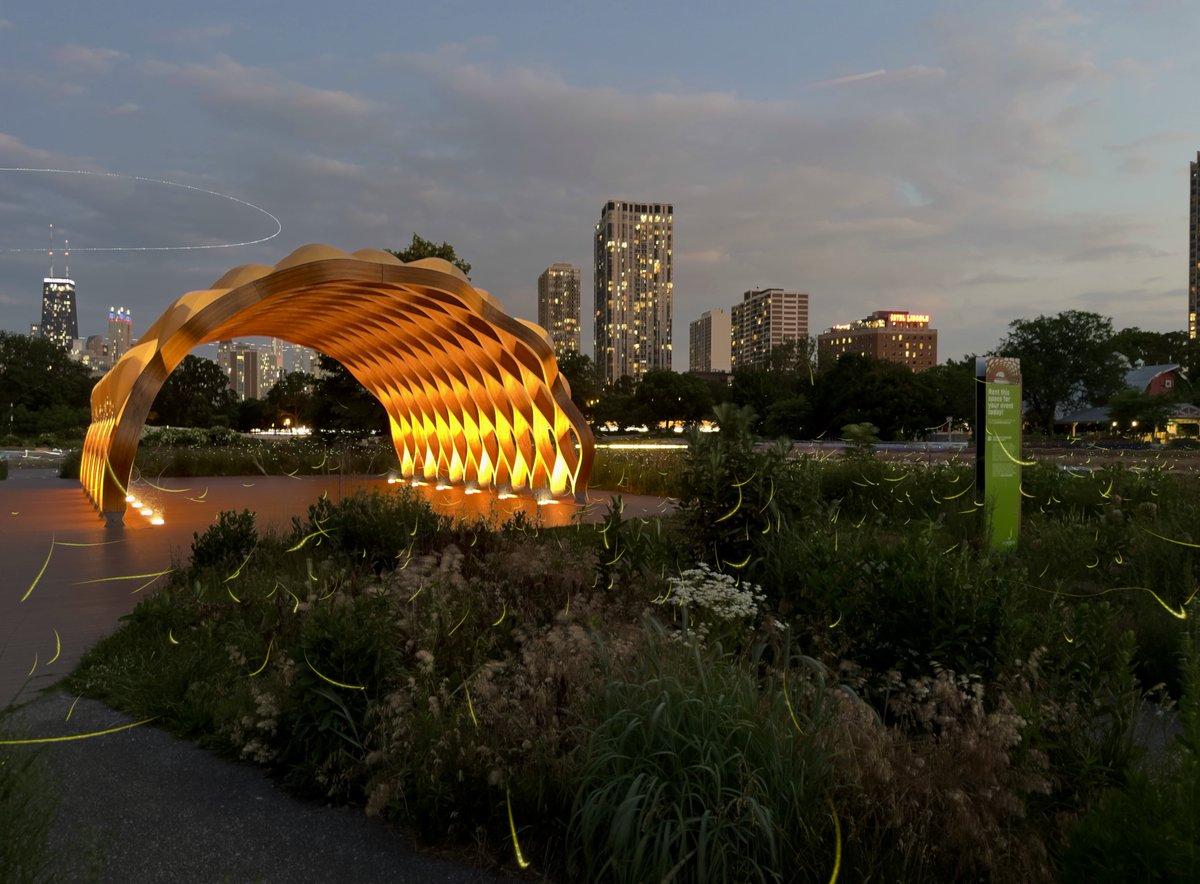 grocklin's tweet image. Chicago!