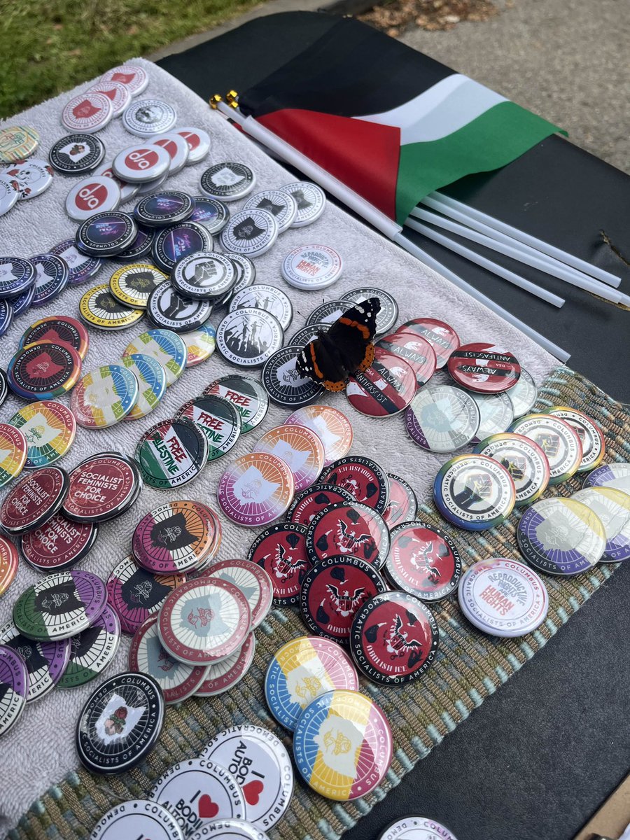 Columbus_DSA's tweet image. Nature is on our side 🦋