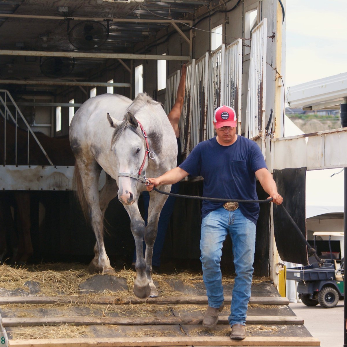 CSchuckwagons's tweet photo. It's move-in day! 🚛 

The big rigs full of horses, chuckwagons, drivers, and the families/teams that support them have started to descend upon Stampede Park. 

We can't wait to host these athletes for the next 11 days! 🤠

#CSChuckwagons #CSRelayRacing #ChuckwagonsandRelay2025 https://t.co/9scaUyUhvi