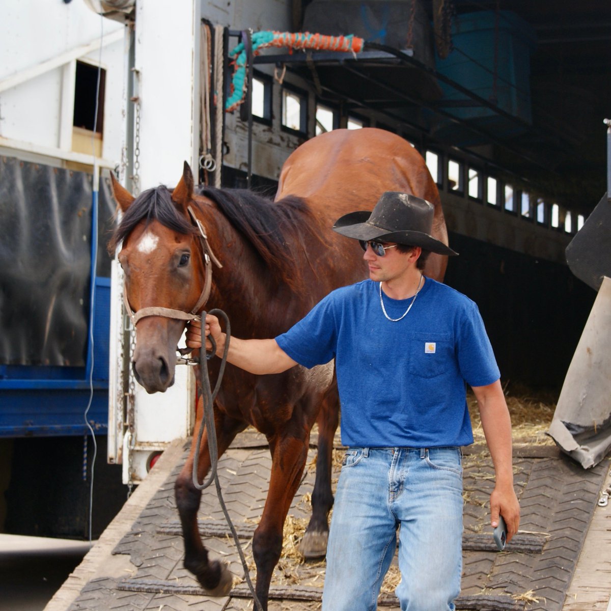 CSchuckwagons's tweet photo. It's move-in day! 🚛 

The big rigs full of horses, chuckwagons, drivers, and the families/teams that support them have started to descend upon Stampede Park. 

We can't wait to host these athletes for the next 11 days! 🤠

#CSChuckwagons #CSRelayRacing #ChuckwagonsandRelay2025 https://t.co/9scaUyUhvi