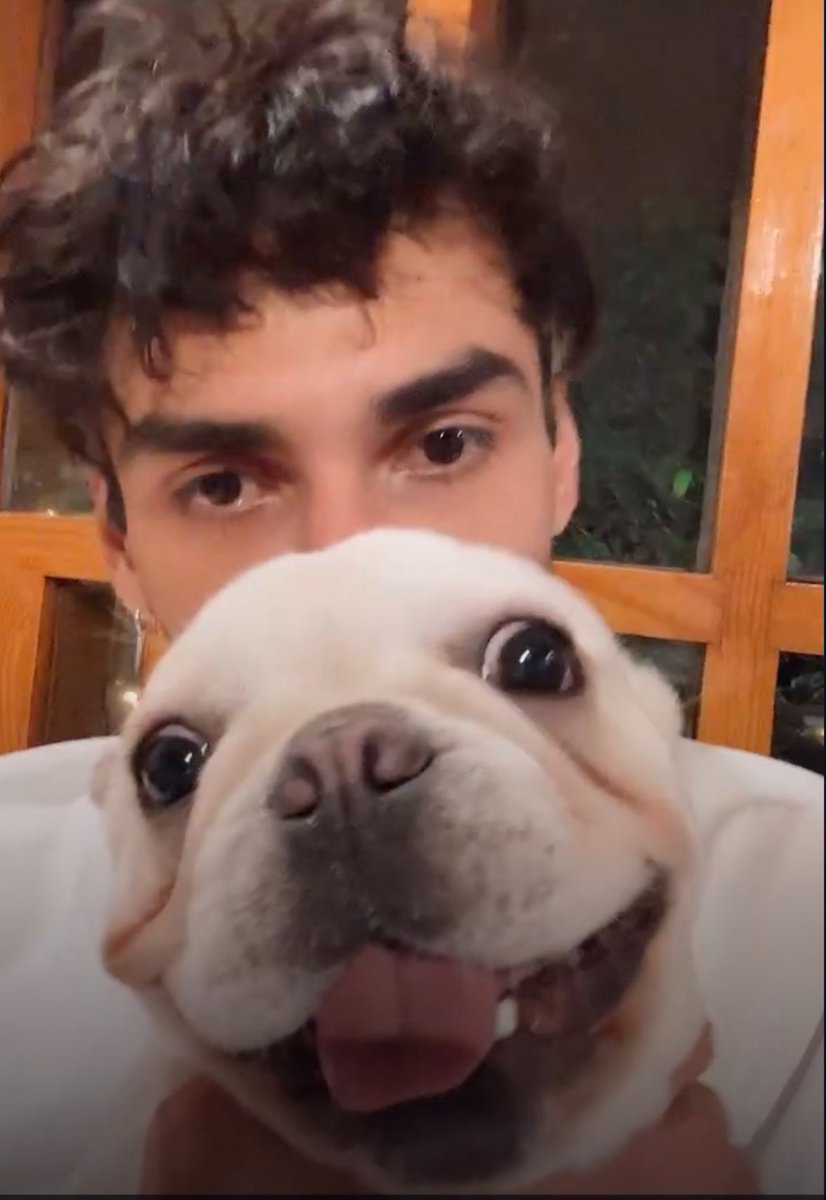 ella sabe q es envidiada y no la culpo, está con el gran santa monico 🙂‍↕️