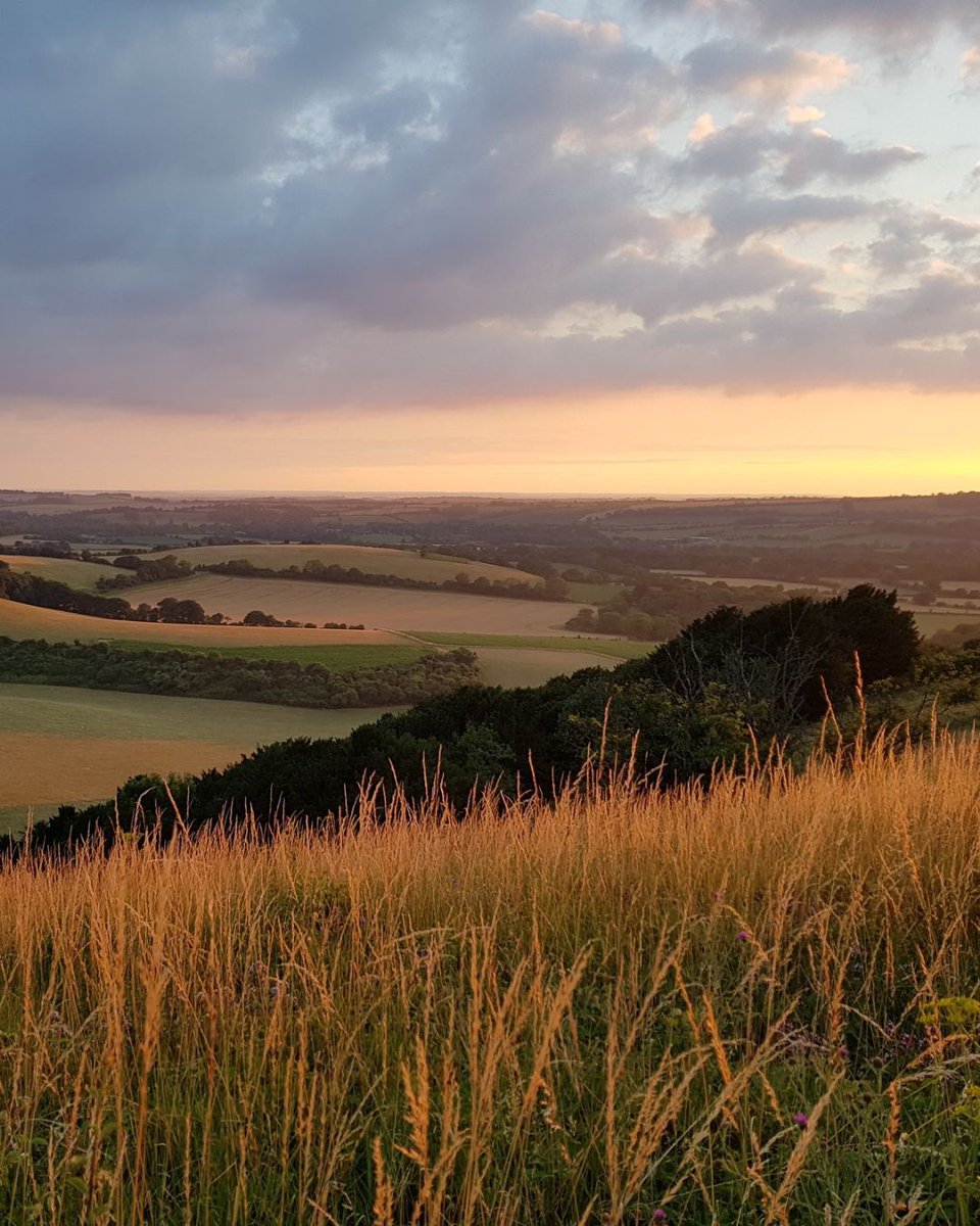 Ever noticed how the Downs shift with the light? 

Morning mists, midday shadows, golden evenings…the landscape is always changing.

📷 Caroline Meech
📍 Old Winchester Hill

#SouthDowns #GoldenHour