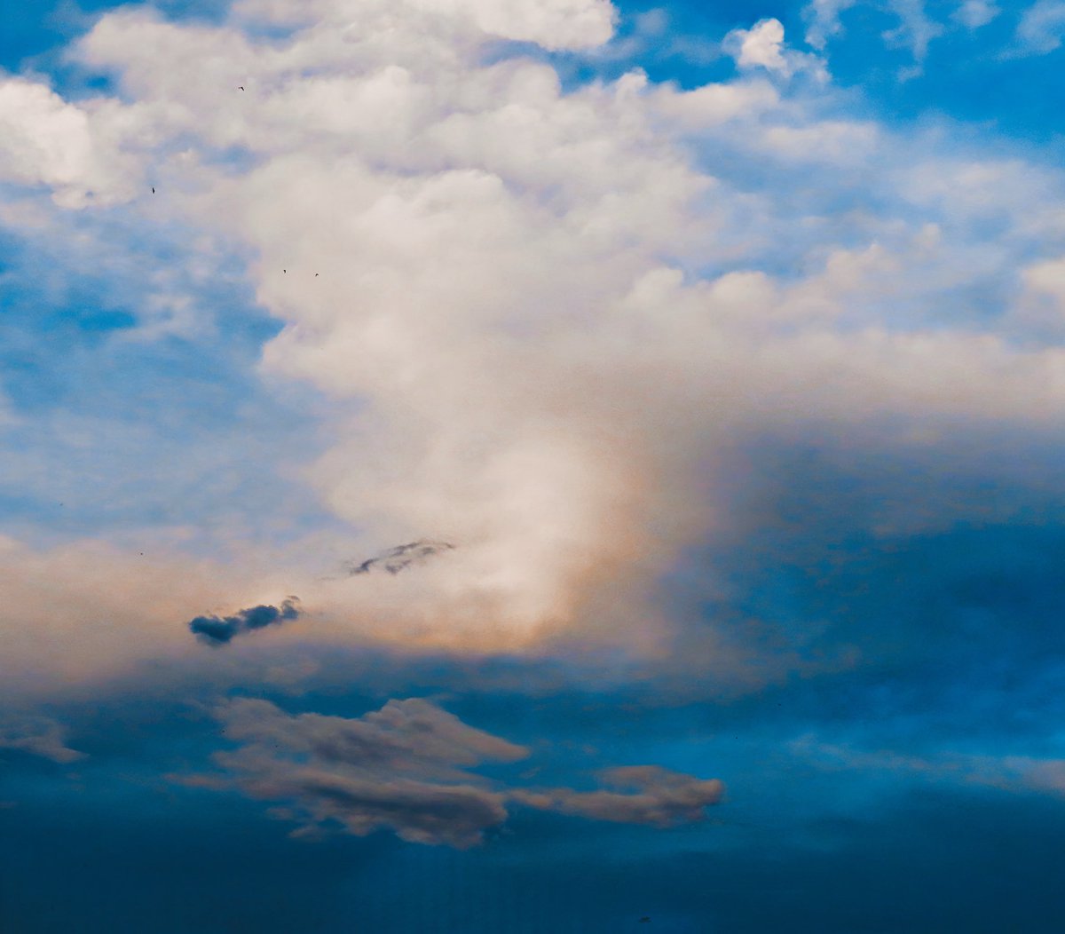 mephisto2102 (@mephisto2102101) on Twitter photo Reality is always the most fascinating.
🤍
.
.
. Reality is always the most fascinating.
🤍
.
.
.