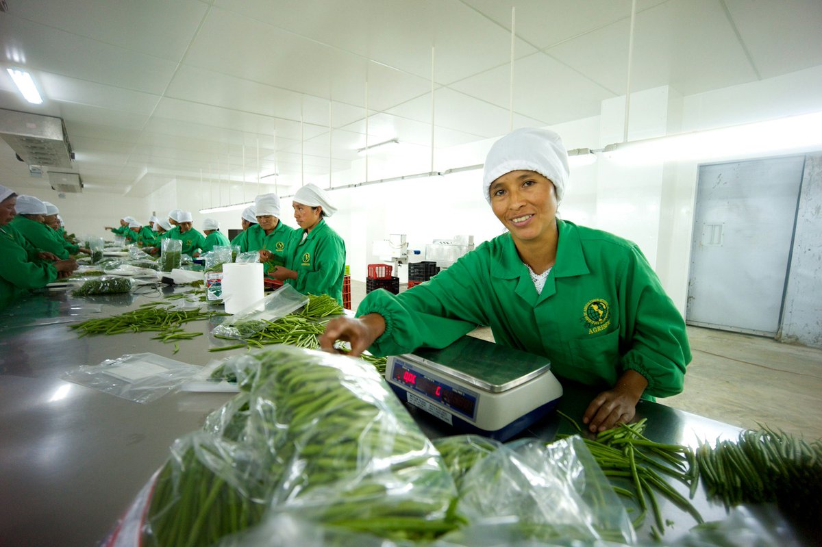 🌎Las #MujeresRurales producen una gran parte de los alimentos que consume el mundo, pero poseen menos de una quinta parte de las tierras productivas.

📢Juntos, podemos transformar la vulnerabilidad en oportunidad, y la fragilidad en fortaleza: ow.ly/kp2k50VAGXR
