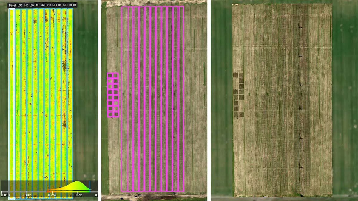 AgriPV10's tweet image. In Florida, @Pix4D_AG + drones enabled precise nitrogen assessment for smarter fertilization — cutting costs &amp;amp; protecting ecosystems. 
Learn more: pix4d.com/blog/sustainab… #PIX4Dfields
#PrecisionAg #Sustainability