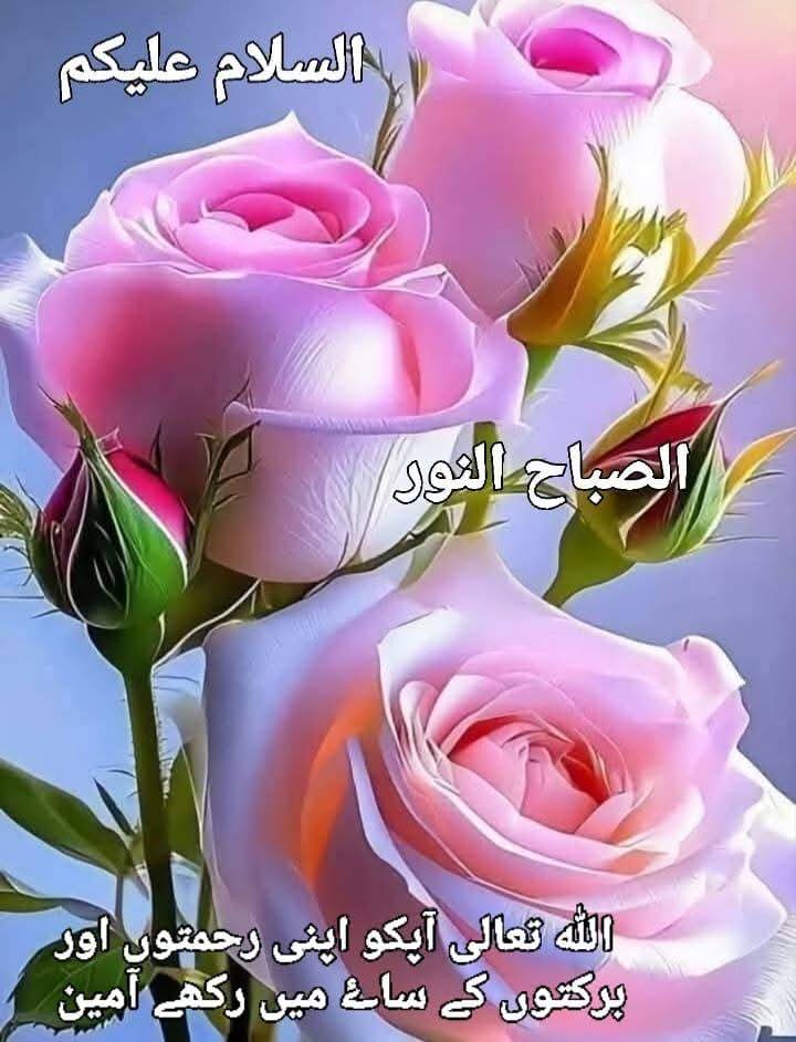 راجہ❤فہیم (@5fahim4) on Twitter photo #عطاری_پرموشن ʟɪsᴛ-²
#قوم_کی_آواز_سعدرضوی
<a href="/X1myX/">Qadri</a>
<a href="/5Fahim0/">راجہ❤FaHeem</a>
<a href="/Qay_n12/">Qayenat</a>
<a href="/I__Ly_as/">ابواحمد حسن رضا</a>
<a href="/Qas7715/">Muhammad Qasim</a>
<a href="/LhriLahori/">Lahori🥰</a>
<a href="/dil740618/">باغی</a>
<a href="/MQA2981/">Muhammad Qurban Ali ansari🇵🇰🇵🇰🇵🇰</a>
<a href="/MALI5644/">Muhammad ali noor</a>
<a href="/Nighat_TLP/">Syeda Nighat Shaheen</a>
<a href="/Mukhlis4tlp/">مُخلِص دوست</a>
<a href="/MAkhtar125/">Muhammad Akhtar</a>
<a href="/13625IRVSIS/">Pakistan Zindabad</a>
<a href="/fatihistannbul/">Fatih Hussain</a>
<a href="/maveedkutchi/">نوید سمیجہ</a>
<a href="/juttbrand3546/">UMAR (JUTT)</a>
<a href="/adyan9724/">FaIsAL.Gujjar</a> #عطاری_پرموشن ʟɪsᴛ-²
#قوم_کی_آواز_سعدرضوی
<a href="/X1myX/">Qadri</a>
<a href="/5Fahim0/">راجہ❤FaHeem</a>
<a href="/Qay_n12/">Qayenat</a>
<a href="/I__Ly_as/">ابواحمد حسن رضا</a>
<a href="/Qas7715/">Muhammad Qasim</a>
<a href="/LhriLahori/">Lahori🥰</a>
<a href="/dil740618/">باغی</a>
<a href="/MQA2981/">Muhammad Qurban Ali ansari🇵🇰🇵🇰🇵🇰</a>
<a href="/MALI5644/">Muhammad ali noor</a>
<a href="/Nighat_TLP/">Syeda Nighat Shaheen</a>
<a href="/Mukhlis4tlp/">مُخلِص دوست</a>
<a href="/MAkhtar125/">Muhammad Akhtar</a>
<a href="/13625IRVSIS/">Pakistan Zindabad</a>
<a href="/fatihistannbul/">Fatih Hussain</a>
<a href="/maveedkutchi/">نوید سمیجہ</a>
<a href="/juttbrand3546/">UMAR (JUTT)</a>
<a href="/adyan9724/">FaIsAL.Gujjar</a>