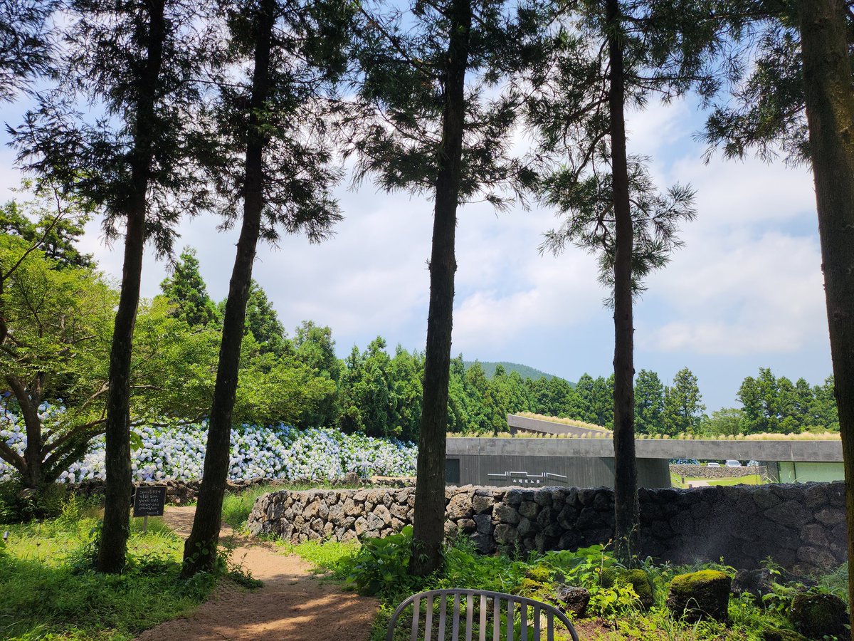 Insaeng_moinnya's tweet photo. 제주 보름왓...  여기가 천국이네 https://t.co/fKXpPVpfhy