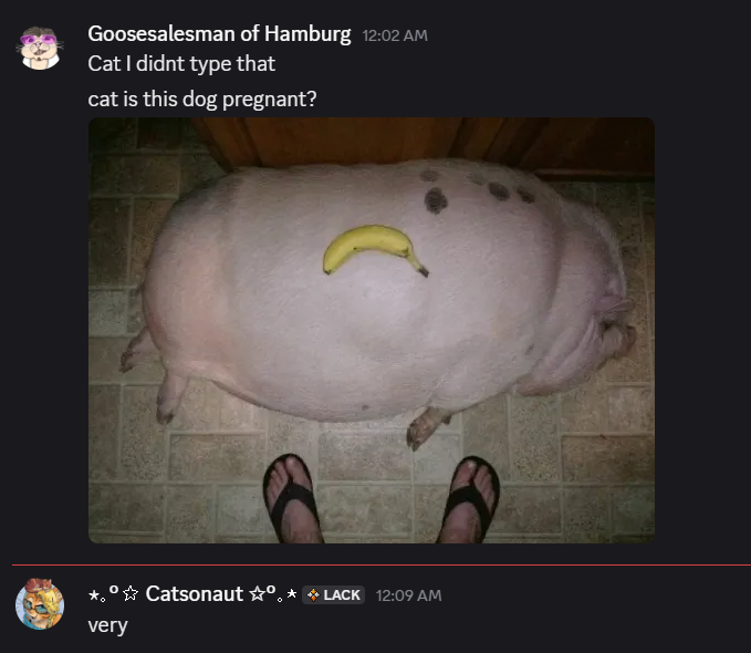 Goosesalesman's tweet image. 12am hitting me like a truck what the hell am i even typing