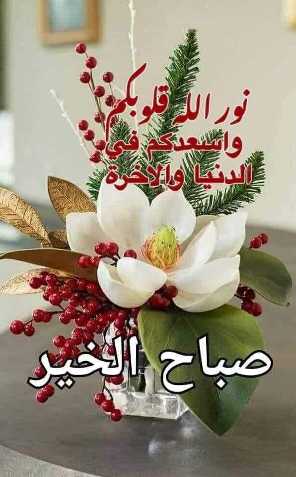 *على المودة والإخلاص نلتقي في كل صباح حروف صغيرة تكتب لكنها تدخل القلب بمعنى وإحساس تحمل المودة والأخوة تكتب لنتبادل السلام والتحية*، 
*أسأل الله لي ولكم بركة وتوفيقاً وعفواً وعافية ودعوة مستجابة، وأن يحفظنا وإياكم من كل سوء ومكروه*،

   🌹صباح الخير🌹