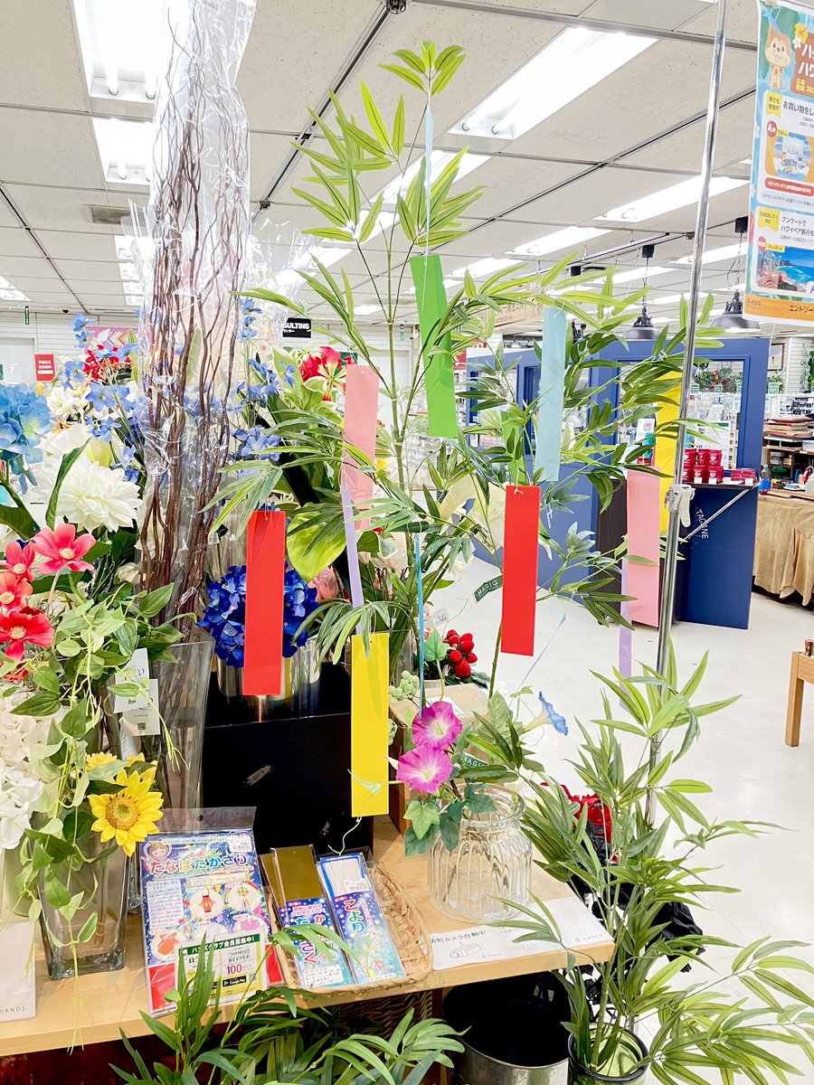 もうすぐ七夕ですね🎋
七夕を楽しむ際の
オススメ品をご紹介⭐️

「笹」1,782円
約95cmこのくらいの大きさあると短冊付けた際に見栄えがよいですね！

「短冊」165円
8色入りでカラフル！

「こより」165円（全て税込）
しっかりしていて短冊を笹に結びつけてやすい！
〈ハンズ渋谷・6Aフロア〉（森）