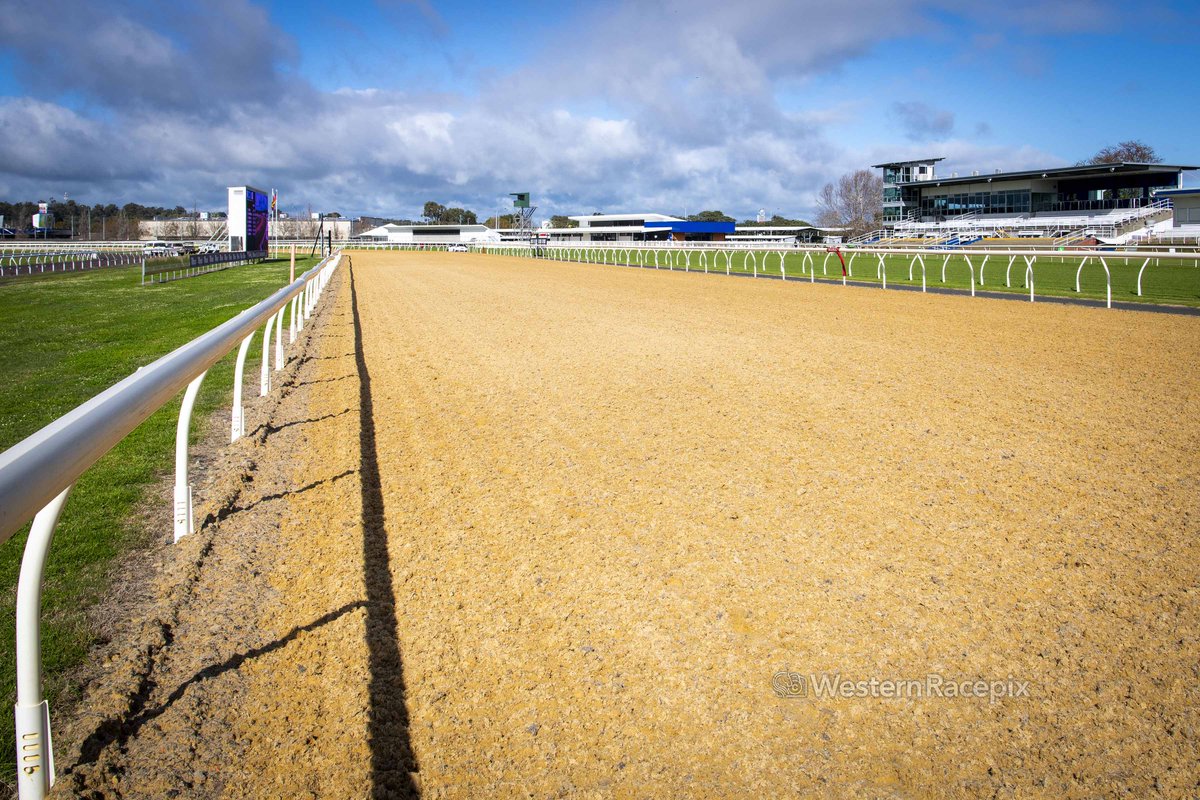 Western Racepix (@westernracepix) on Twitter photo Bit of history <a href="/BunburyTurfClub/">Bunbury Turf Club</a> today with the 1st meeting being run on the new Fibre Sand track!
More 📸 westernracepix.com
#WesternRacepix Bit of history <a href="/BunburyTurfClub/">Bunbury Turf Club</a> today with the 1st meeting being run on the new Fibre Sand track!
More 📸 westernracepix.com
#WesternRacepix