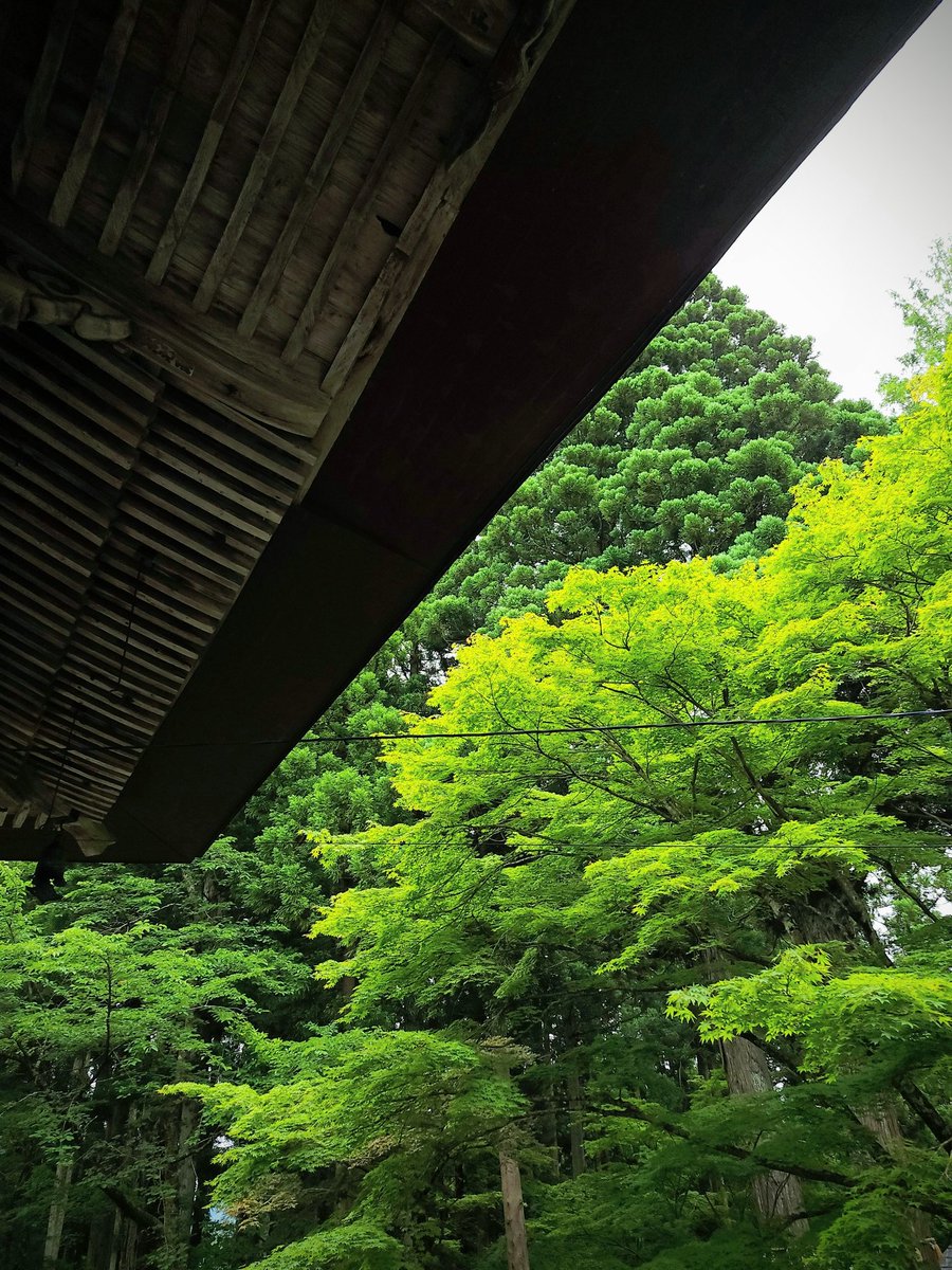 axbs8WxJ46CIHeB's tweet photo. 七面倒くさいと思ったことはない

#鳥追観音如法寺　#日本語 https://t.co/p3exa85sKq