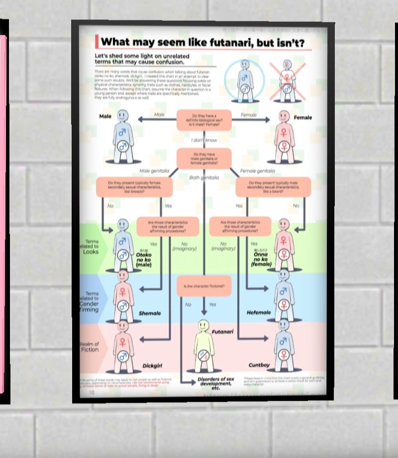๐ฝ๐๐๐๐๐๐ท๏ธ tweet media