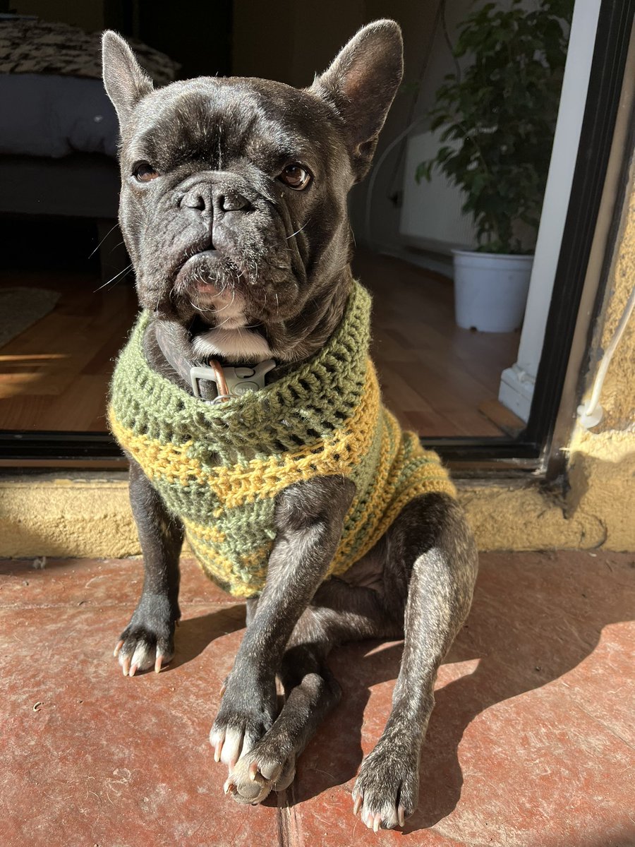 lbbaeza's tweet photo. Tejer se ha vuelto una increible terapia para volver a mi centro y olvidar a ratos mi personalidad horriblemente ansiosa. Hoy hasta la fiesta tiene un chaleco de la coleccion otoño invierno LB https://t.co/eZas2d6zpB