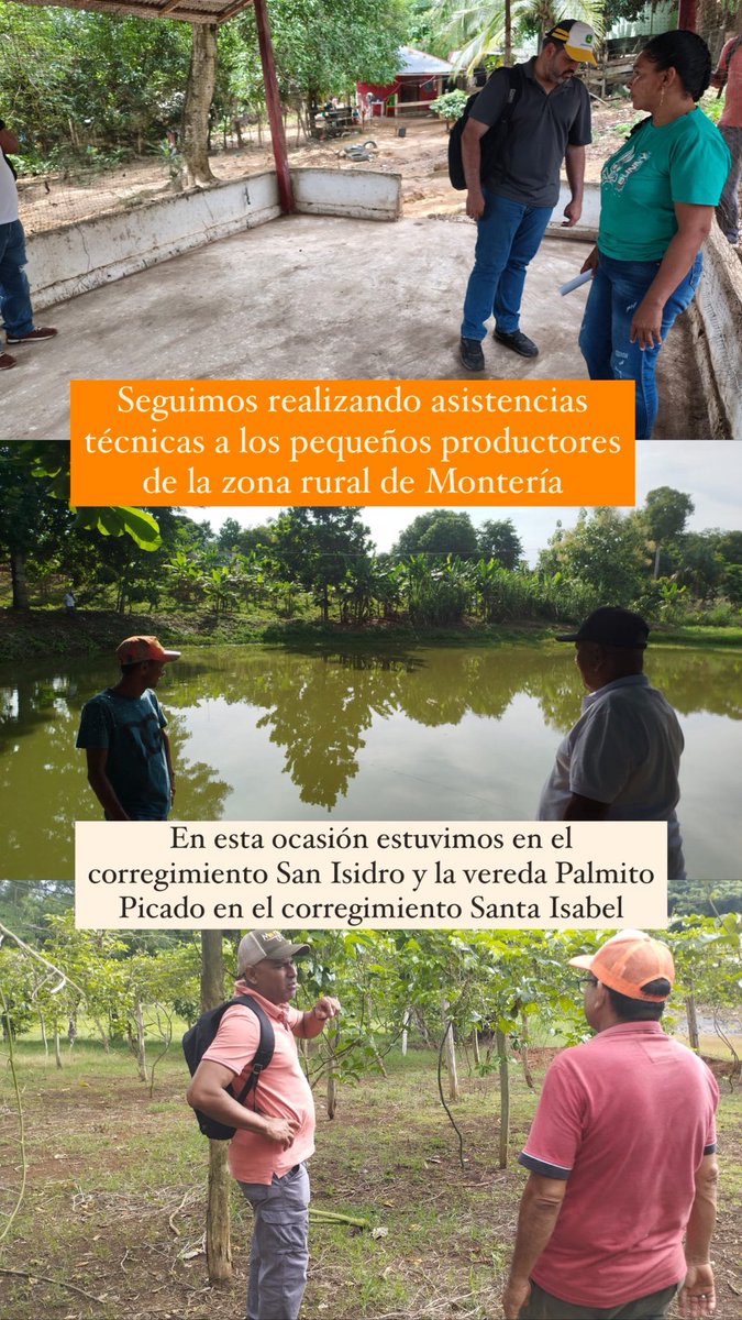Nelson Rivera Pernett GerenteRuralMontería (@nelsonriverac3) on Twitter photo ¡Nuestros productores de la zona rural continúan recibiendo de parte de nuestro equipo el apoyo y acompañamiento en sus cultivos! <a href="/kerguelenhugo/">Hugo F. Kerguelen G.</a>
#ElCampoEsMontería ¡Nuestros productores de la zona rural continúan recibiendo de parte de nuestro equipo el apoyo y acompañamiento en sus cultivos! <a href="/kerguelenhugo/">Hugo F. Kerguelen G.</a>
#ElCampoEsMontería