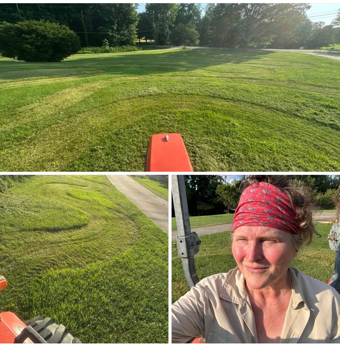 Kim Landsbergen Ph.D. (@treebiology) on Twitter photo American freedom sometimes means making #outsider #art  in the medium of #lawn ridicule. As much as ‘mericans worship #conformity, perfection & #monoculture, this #ecologist does what she can to find  #creative #joy as our nation celebrates kicking #monarchy and #fascism’s ASS 🇺🇸 American freedom sometimes means making #outsider #art  in the medium of #lawn ridicule. As much as ‘mericans worship #conformity, perfection & #monoculture, this #ecologist does what she can to find  #creative #joy as our nation celebrates kicking #monarchy and #fascism’s ASS 🇺🇸