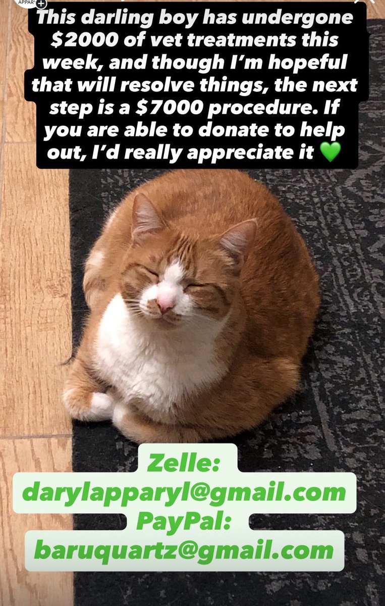 Baru 🪡🧵 tweet media