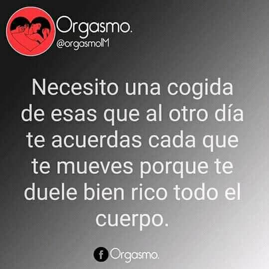 Andrea Carlos (@complices2sw) on Twitter photo 