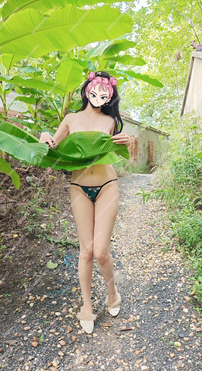 熟悉的林荫小路，破旧村落。