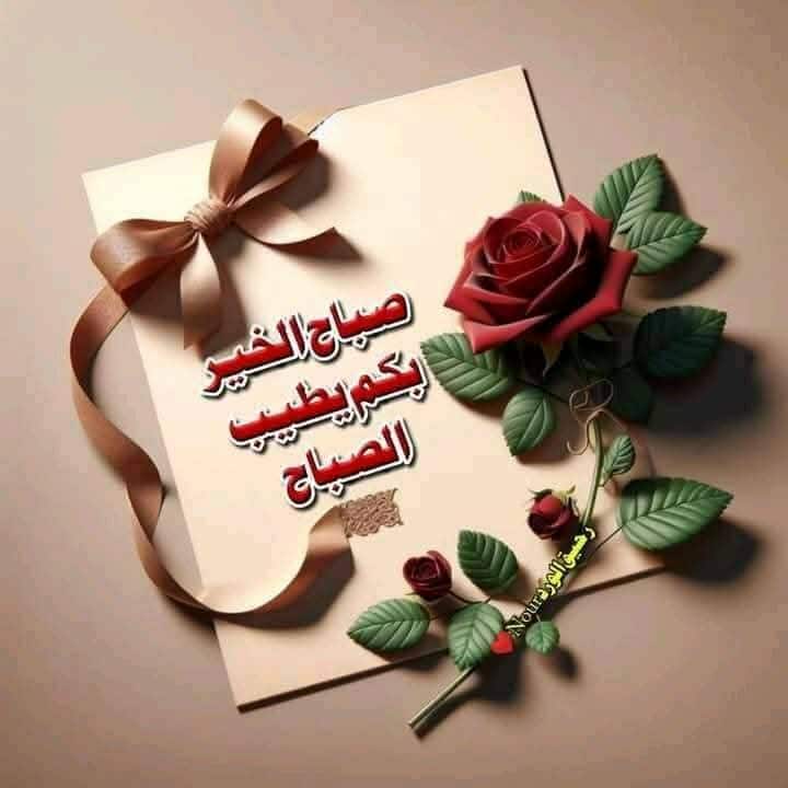 من أراد قُربك سيتقرّب منك...
 ومن أراد رؤيتك سيأتي إليك...
 ومن أراد سماع صوتك سيتّصل بك..
      كلّها أمورٌ لا تمنعها الظروف، 
           بل تمنعها النفس.