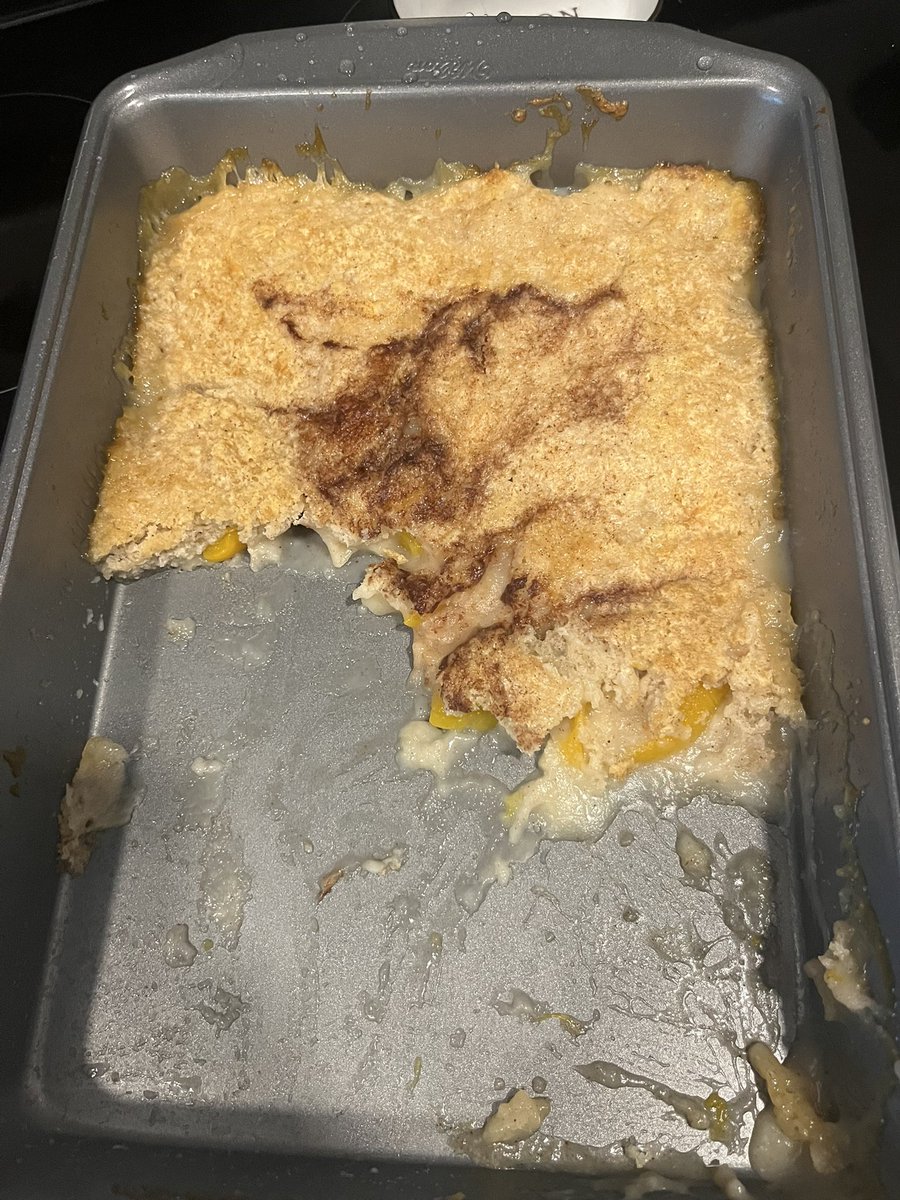 Been perfecting my cobbler game for when I drop out of my PhD and move to Scotland to open a soup restaurant