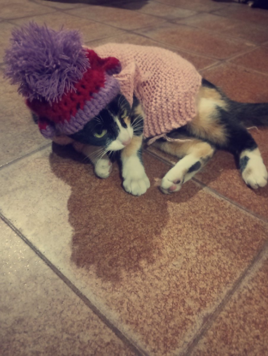 fdiego_77's tweet photo. cabo-o-frio-taquentinhoo 📍 kkkkkk https://t.co/weyueqZJOe