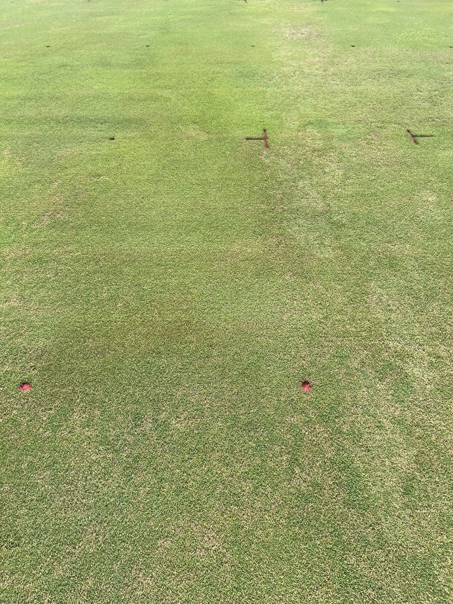 Super cool study we are conducting that was the brain child of <a href="/plkoch2/">Paul Koch</a> and <a href="/kurtaculous/">Kurt Hockemeyer</a>. Potassium bicarbonate suppressing dollar spot quite well. Well done gentleman on this work!