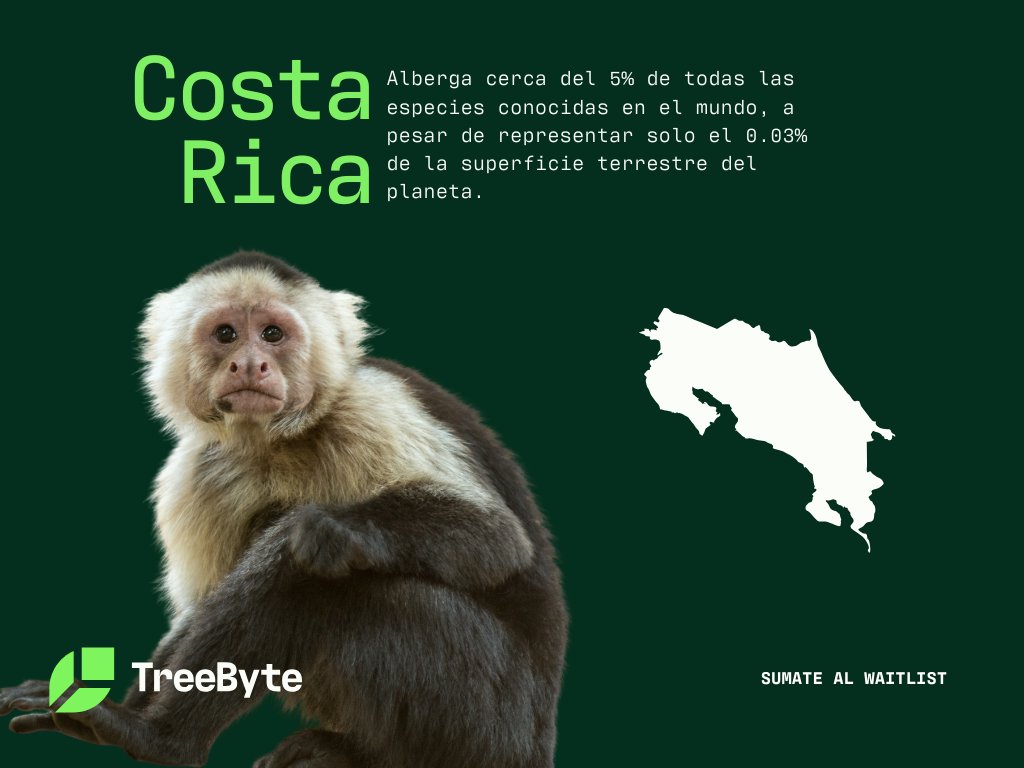 TreeByte tweet media