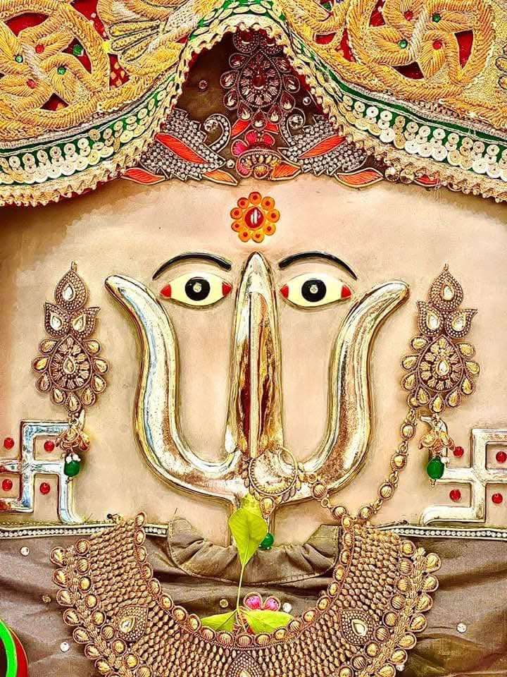 जय दादी की जय जय श्री दादी जी की भाई जी राणी सत्यै नमो नमः