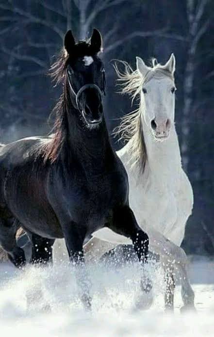Djair Monteiro (@monteirodjair) on Twitter photo CONNECT
<a href="/PhillyKH7/">Keith H7</a>
<a href="/Primrose771646/">GOD’S GIRL</a>
<a href="/AbbypaigeKate/">Kate</a>
<a href="/DraBarbaraAbud/">𝐁á𝐫𝐛𝐚𝐫𝐚 𝐏𝐡𝐃 ☭⃠ 🚁😎| 🇧🇷🤝🏼🇸🇦</a>
<a href="/marijotrue/">MariJo</a>
<a href="/RPrima789/">🆙✩࿐ 🅱️🅿️riⓂ️a777 🇲🇨</a>
<a href="/Gooddlovee/">Real 𝕏 trending</a>
<a href="/TlayAnl1903/">TüL🅰️y</a>
<a href="/lqlql0/">amal</a>
<a href="/Sophia56891/">Sophia</a>
<a href="/Kasandr58045987/">Kasandra</a>
<a href="/ElarRealm/">Elar Realm</a>
<a href="/LauraMi25356713/">Laura Miller</a>
<a href="/swty31/">Sw33ty31</a>
<a href="/CristalBr7/">🌹🦋MulherConservadora🌹🦋🇧🇷🇺🇲</a>
<a href="/MarcelaErcia/">🕉MARCE🐉⚖ #MarceTeAyuda🔮#MarceLive🔄 Meme y Popi</a>
<a href="/FabianaFPeres/">🇧🇷Fabi Peres Patriot 🇧🇷</a>
<a href="/Faithmokua4/">Fay🇰🇪🇺🇸</a>
<a href="/falconmediateam/">🦅🌈🛟🅇 C⭕️🅰️ch 🇫🅾🇷 🅱etter 🇱ife🛟🌈 🦅</a> CONNECT
<a href="/PhillyKH7/">Keith H7</a>
<a href="/Primrose771646/">GOD’S GIRL</a>
<a href="/AbbypaigeKate/">Kate</a>
<a href="/DraBarbaraAbud/">𝐁á𝐫𝐛𝐚𝐫𝐚 𝐏𝐡𝐃 ☭⃠ 🚁😎| 🇧🇷🤝🏼🇸🇦</a>
<a href="/marijotrue/">MariJo</a>
<a href="/RPrima789/">🆙✩࿐ 🅱️🅿️riⓂ️a777 🇲🇨</a>
<a href="/Gooddlovee/">Real 𝕏 trending</a>
<a href="/TlayAnl1903/">TüL🅰️y</a>
<a href="/lqlql0/">amal</a>
<a href="/Sophia56891/">Sophia</a>
<a href="/Kasandr58045987/">Kasandra</a>
<a href="/ElarRealm/">Elar Realm</a>
<a href="/LauraMi25356713/">Laura Miller</a>
<a href="/swty31/">Sw33ty31</a>
<a href="/CristalBr7/">🌹🦋MulherConservadora🌹🦋🇧🇷🇺🇲</a>
<a href="/MarcelaErcia/">🕉MARCE🐉⚖ #MarceTeAyuda🔮#MarceLive🔄 Meme y Popi</a>
<a href="/FabianaFPeres/">🇧🇷Fabi Peres Patriot 🇧🇷</a>
<a href="/Faithmokua4/">Fay🇰🇪🇺🇸</a>
<a href="/falconmediateam/">🦅🌈🛟🅇 C⭕️🅰️ch 🇫🅾🇷 🅱etter 🇱ife🛟🌈 🦅</a>