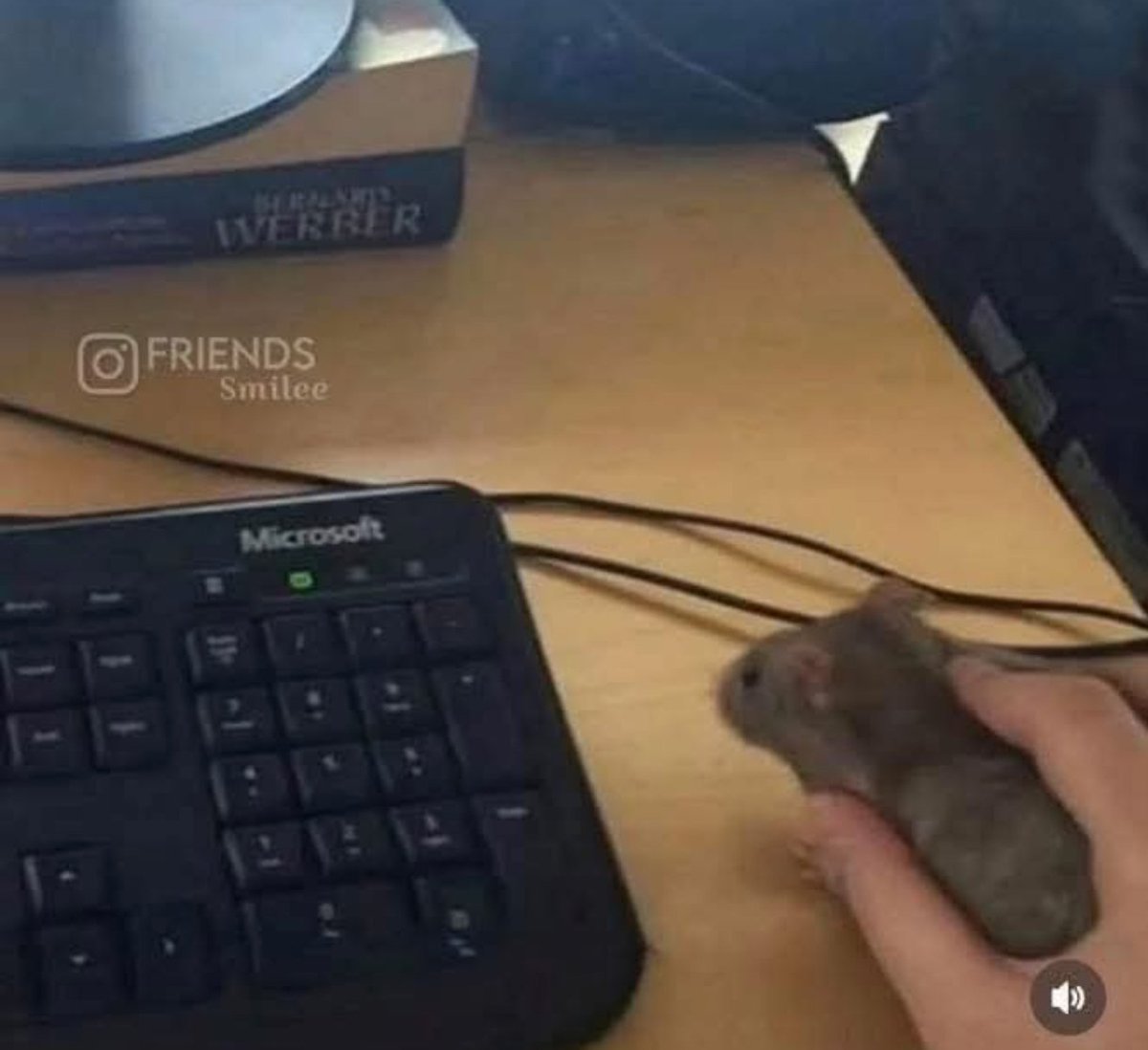 blognaointendo's tweet image. Só uso produto original