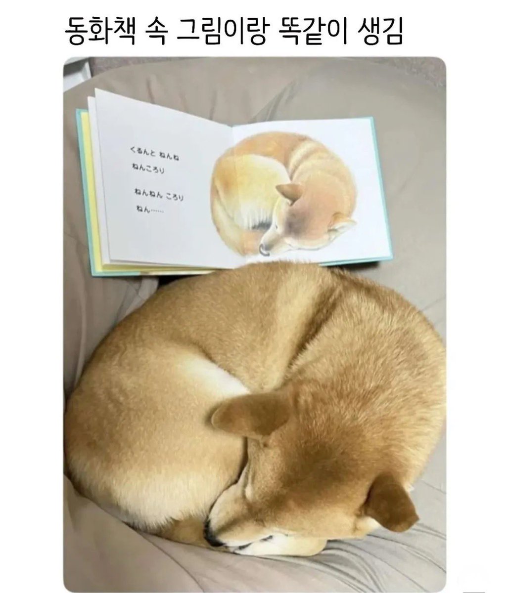 북크북크 (@akzkfltm2) on Twitter photo 