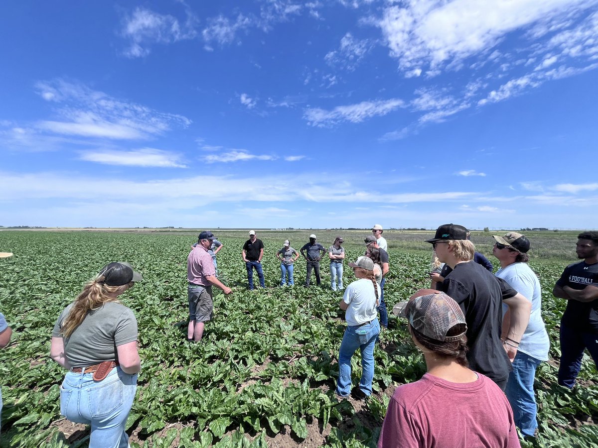 Adam Voss (@voss_ag) on Twitter photo Great day with <a href="/cpfarmsltd/">Michel Camps</a>, learning about special crops in Southern Alberta.
With <a href="/NutrienAgCda/">Nutrien Ag Solutions Canada</a> folks coming from all around the province, couldn’t ask for a better host. Great day with <a href="/cpfarmsltd/">Michel Camps</a>, learning about special crops in Southern Alberta.
With <a href="/NutrienAgCda/">Nutrien Ag Solutions Canada</a> folks coming from all around the province, couldn’t ask for a better host.