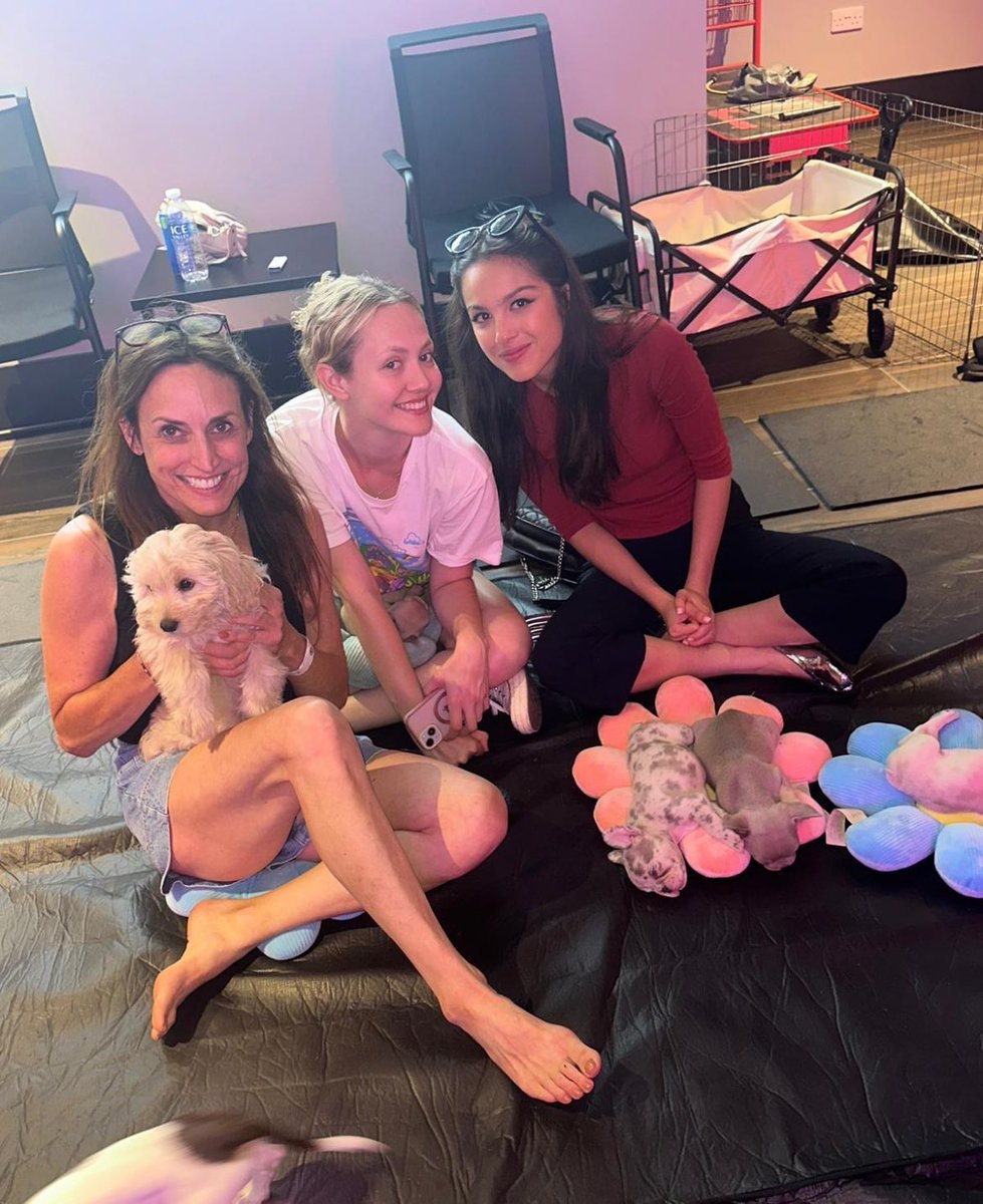 So cute please she needs a pup