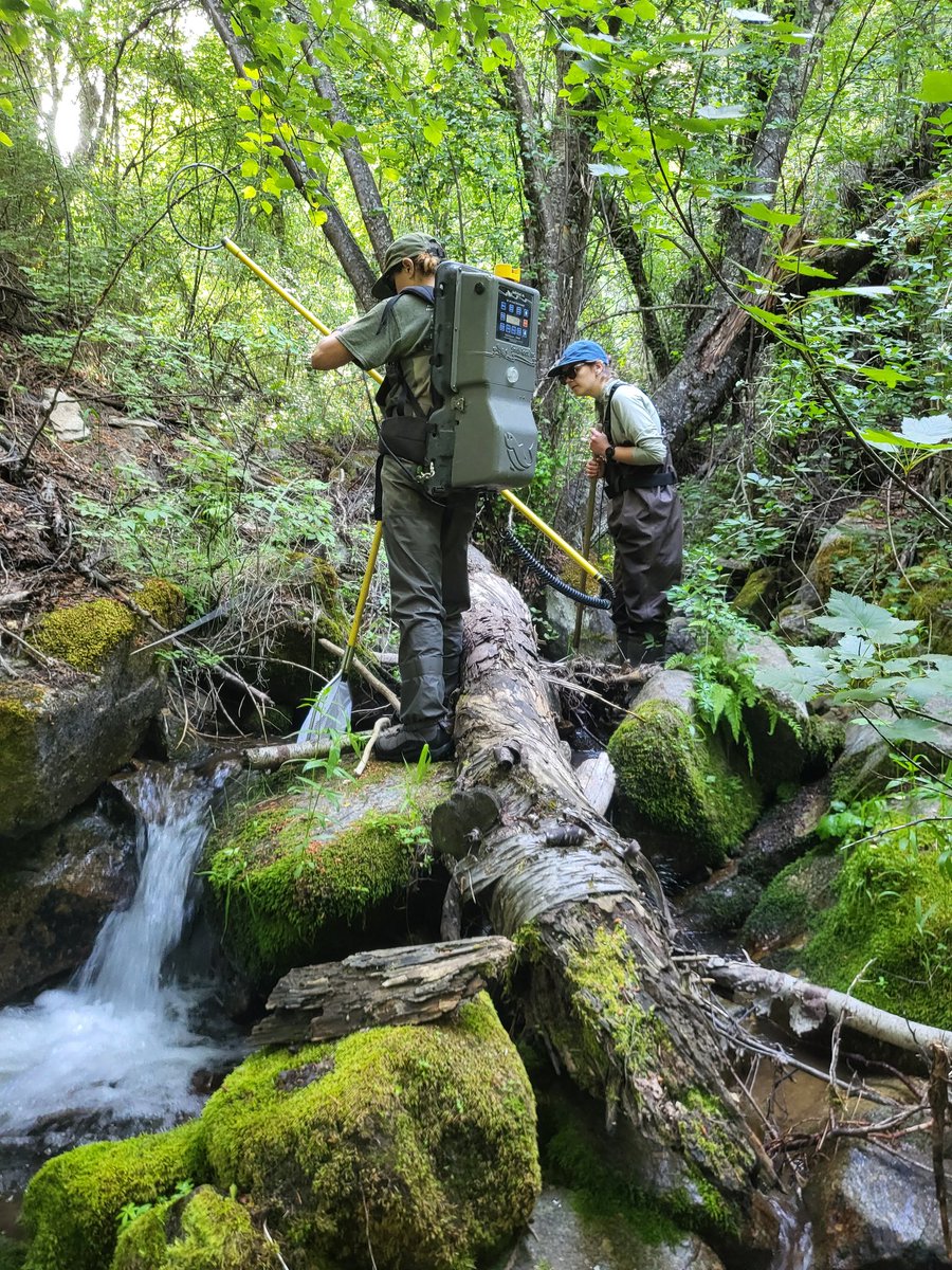 TU Science tweet media