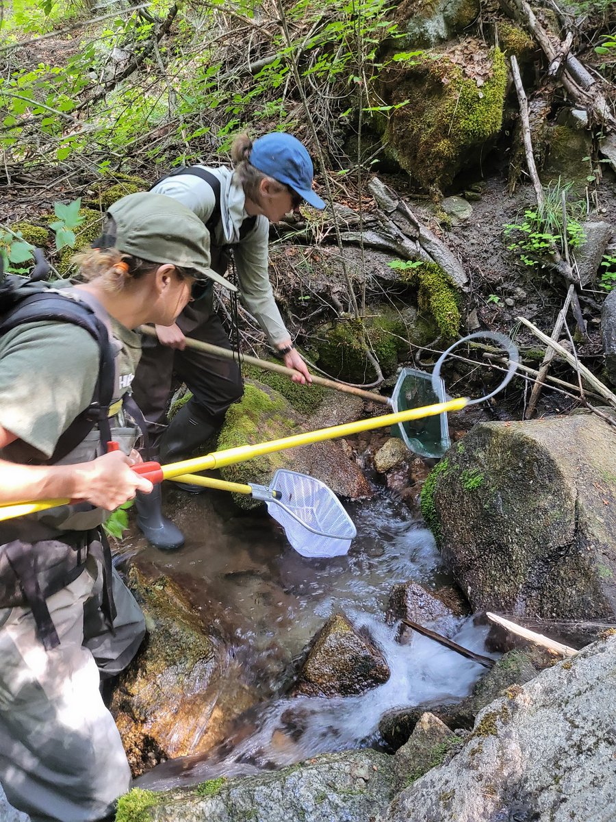 TU Science tweet media