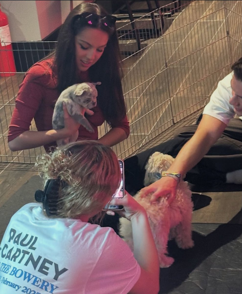 This is absolutely adorable I can’t