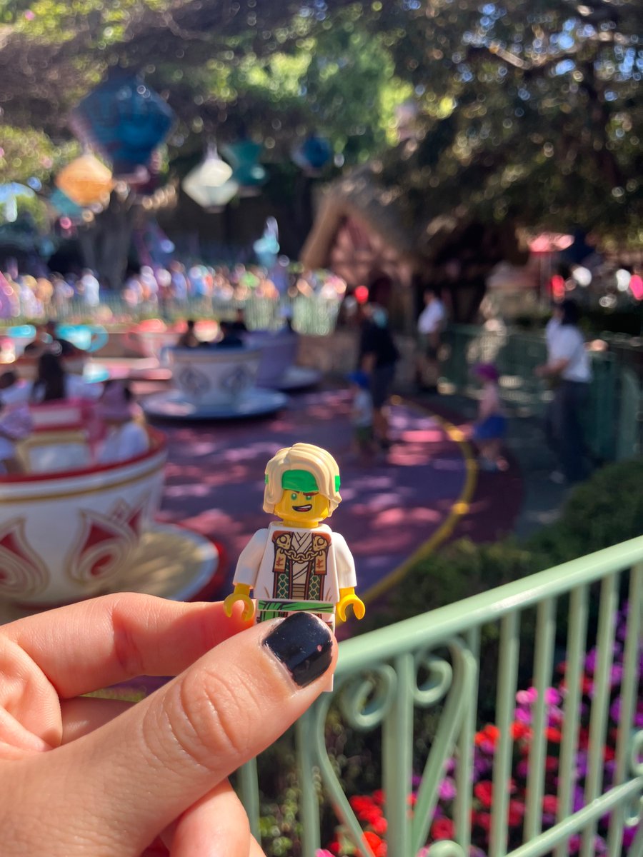 openlycomplex's tweet image. took lloyd garmadon to disneyland :D