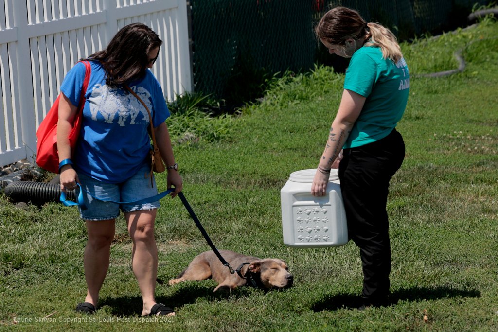LaurieSkrivan's tweet image. St. Louis County animal shelter passes state inspection stltoday.com/news/local/gov… via @stltoday