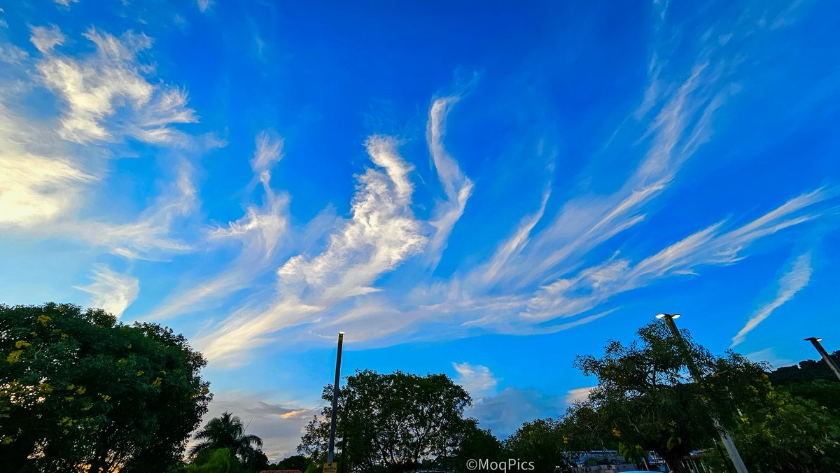 moqjazz's tweet image. Festival de nubes cirrus bailando al atardecer sobre Gurabo. #clouds #Weather @adamonzon @383_787 @DeborahTiempo @AWA_013 @SLopezTiempo @BoricuaVasca @EliRobainaTV @CycloforumsPR @Fernando_AF14 @SusanSoltero @GuaybanaJota @NWSSanJuan @Jota_Jota_pr @KevinDelbrey @NormaOrtizRodr4
