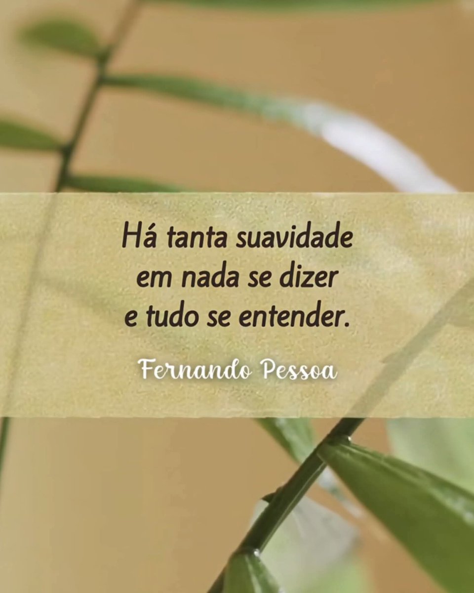 91Amancio's tweet image. #suavidade 
#dizer
#entender 

#sdv