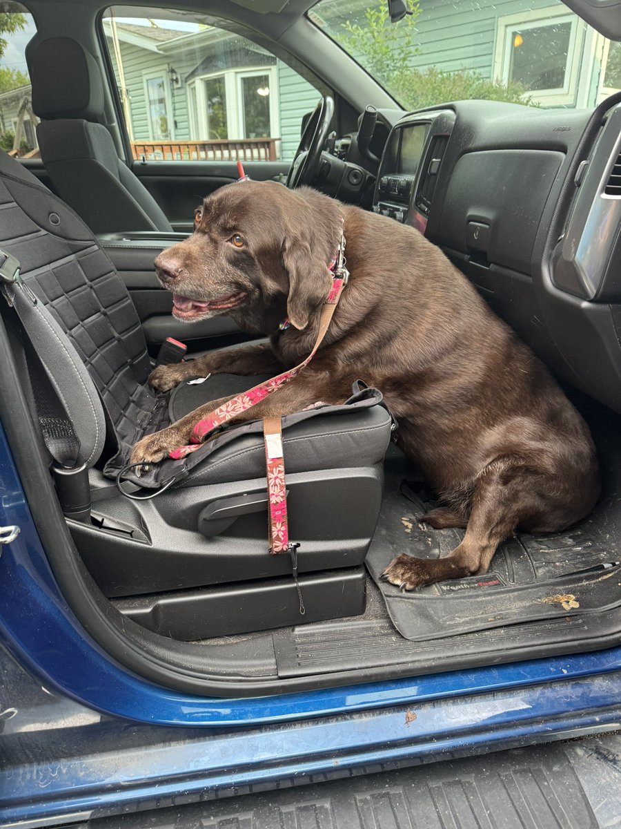 Mocha🌈 tweet media