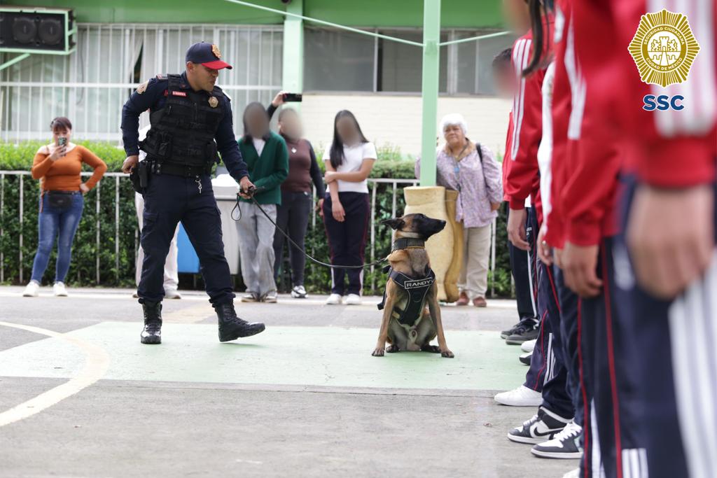 PBI_SSC's tweet photo. #FeriaDeSeguridad | En la Secundaria General 209 #FranciscoVilla, la #PBI de la @SSC_CDMX montó un #StandInformativo donde los oficiales realizaron actividades con las y los estudiantes. Además, la #UnidadCanina ofreció una exhibición y convivió con la comunidad estudiantil. https://t.co/ry1V6FnGPc