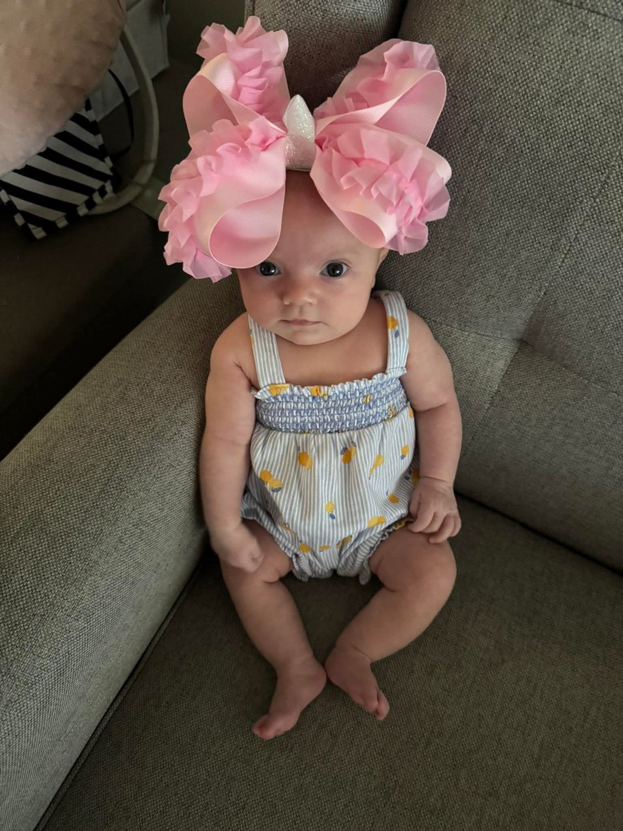dannysgirl1975's tweet photo. She doesn't know what to say about this big bow. #Mimigirl #soprecious https://t.co/Gy0ozR5GiS
