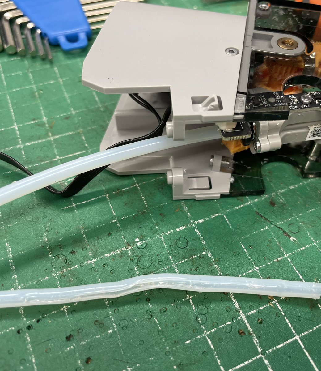 まきぼっくり tweet media